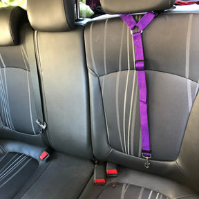 Pet  Solid Two-in-one Car Seat Belt