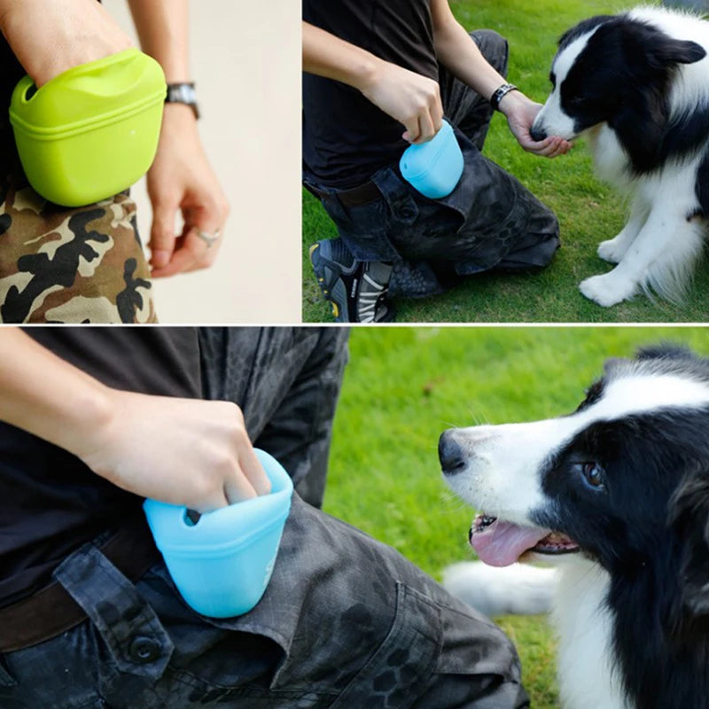 Pet Walk Treat Pouch Bag