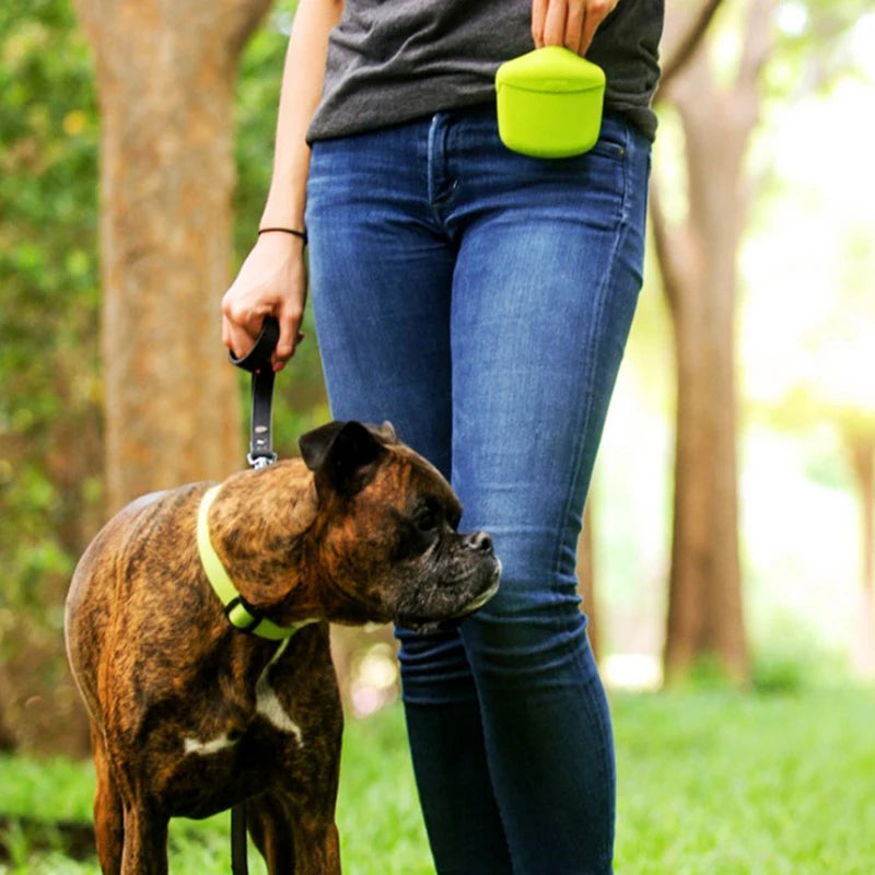 Pet Walk Treat Pouch Bag