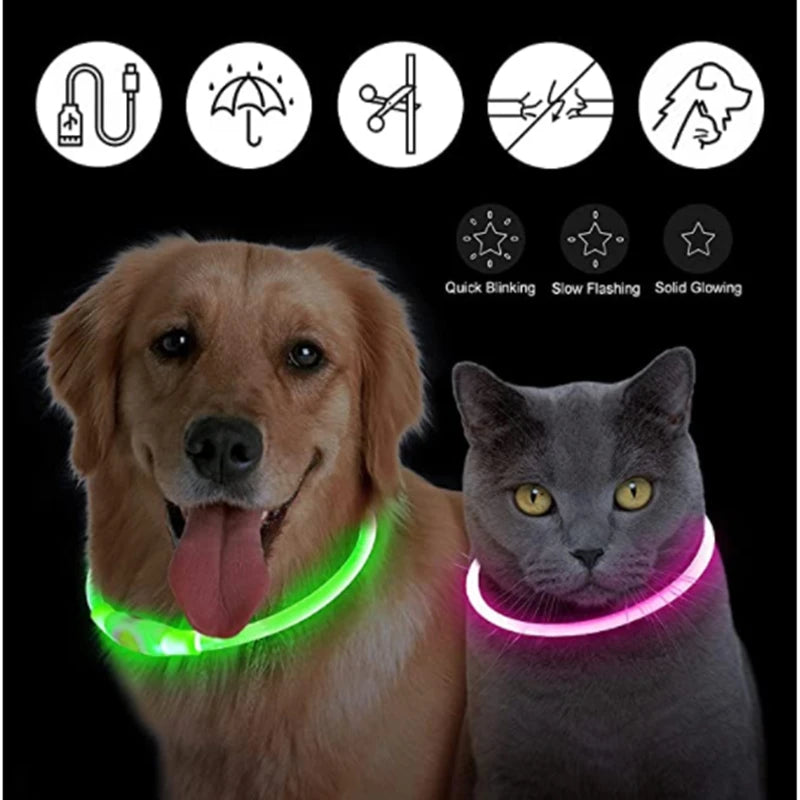 Dog USB Rechargeable Luminous Collar