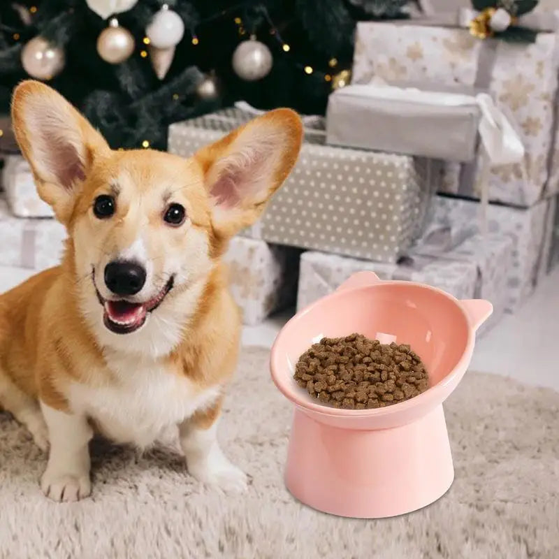 Pet Neck  Design Anti-tip Bowl