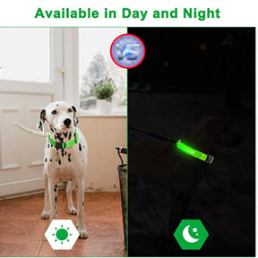 Dog USB Rechargeable Luminous Collar