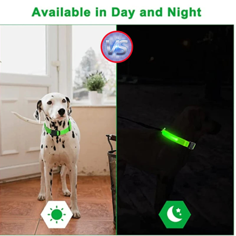 Dog USB Rechargeable Luminous Collar