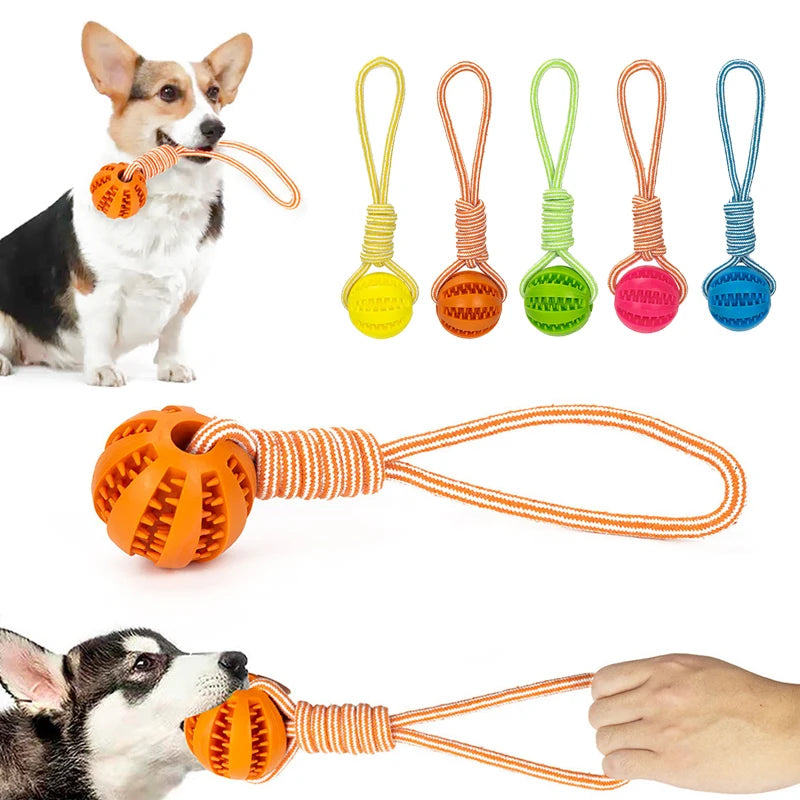 Pet Treat Ball Rope Interactive Toy