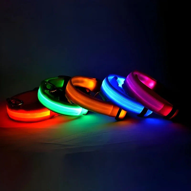 Dog Nylon LED Night Safety Collar