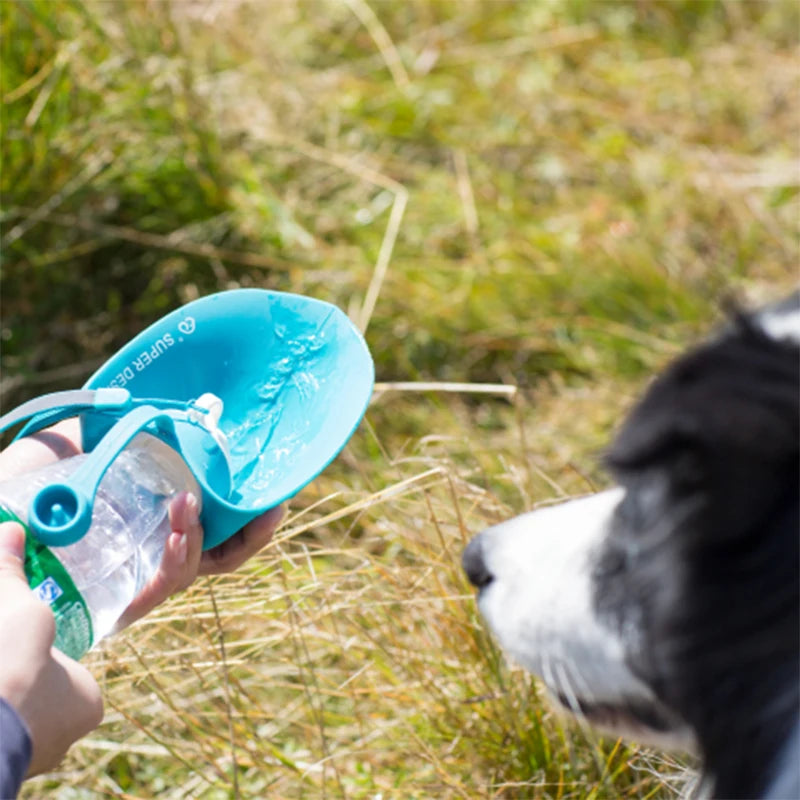 Pet Outdoor 580ml Portable Water Bottle