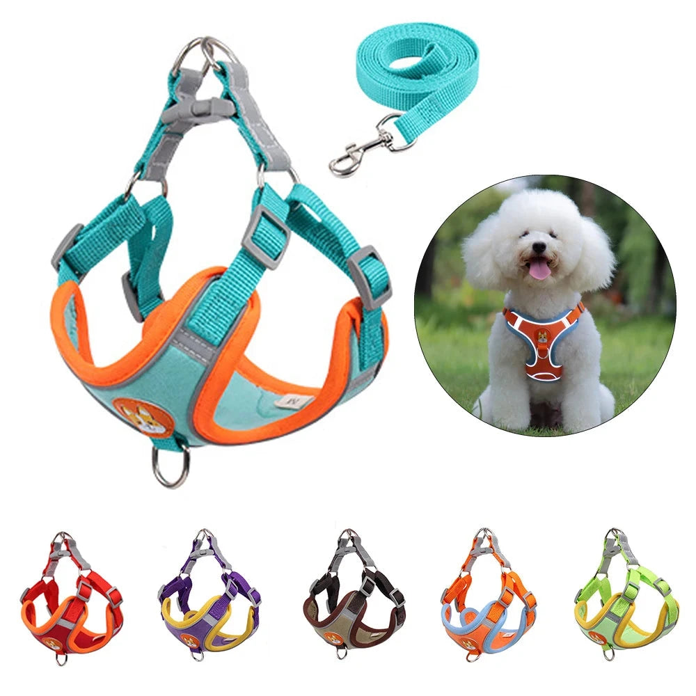 Pet Adjustable Walking Lead Harness Leash Set