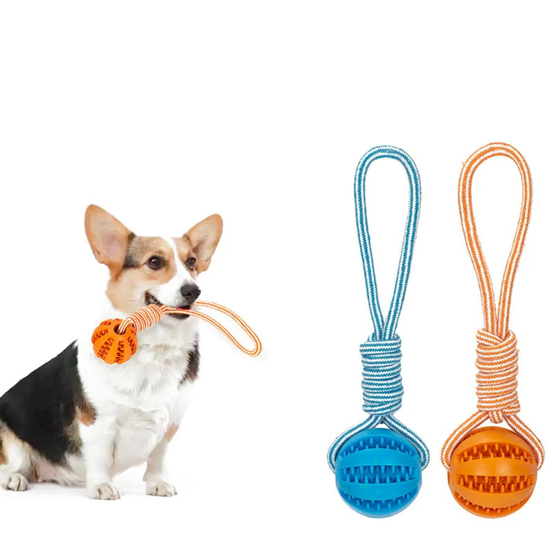 Pet Treat Ball Rope Interactive Toy