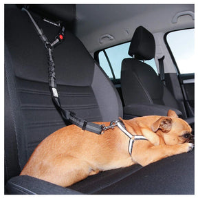 Dog Two-in-one Harness Leash Seat Belt