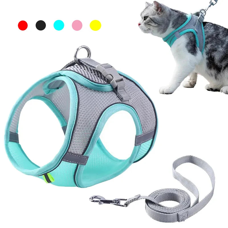 Pet Outdoor Walking Lead Leash Set