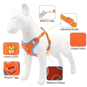 Pet Adjustable Walking Lead Harness Leash Set