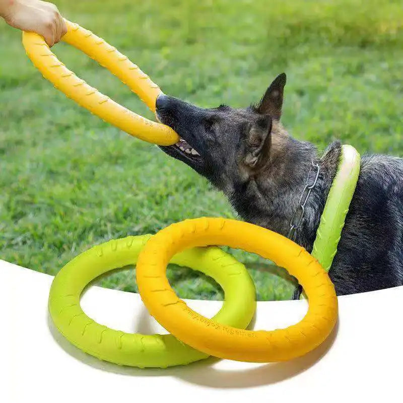 Dog Flying Disk Training Ring