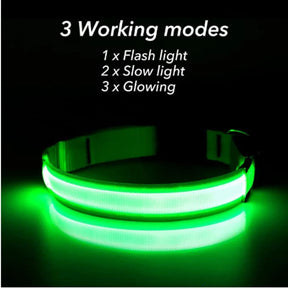 Dog USB Rechargeable Luminous Collar