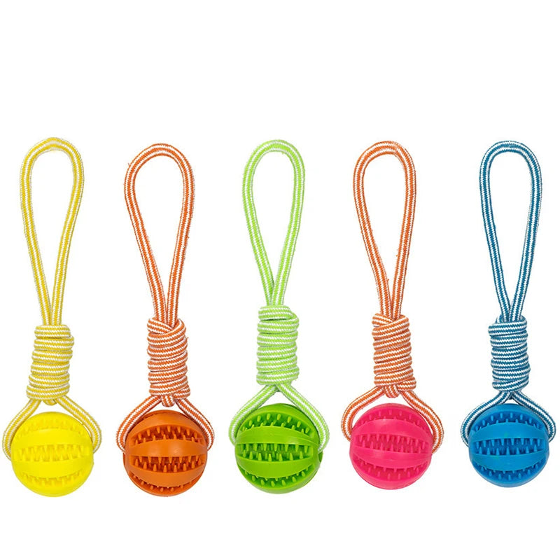 Pet Treat Ball Rope Interactive Toy