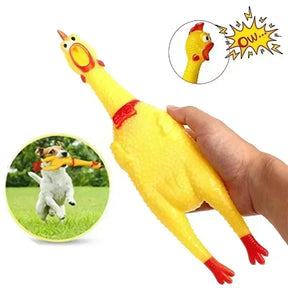 Pet Screaming Chicken Squeak Toy