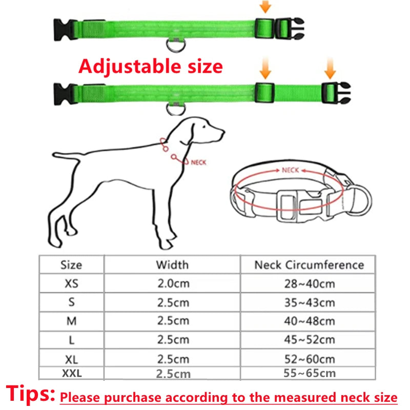 Dog USB Rechargeable Luminous Collar