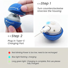 Dog Smart Electronic Ball Interactive Toy