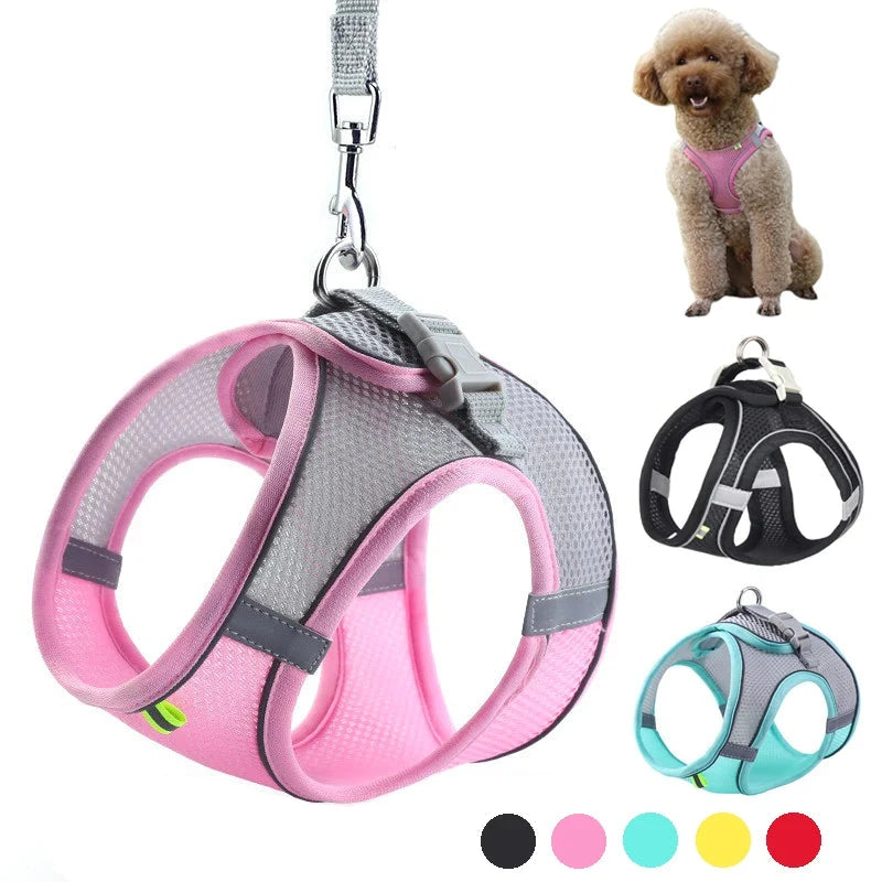 Dog Outdoor Walking Lead Harness Set