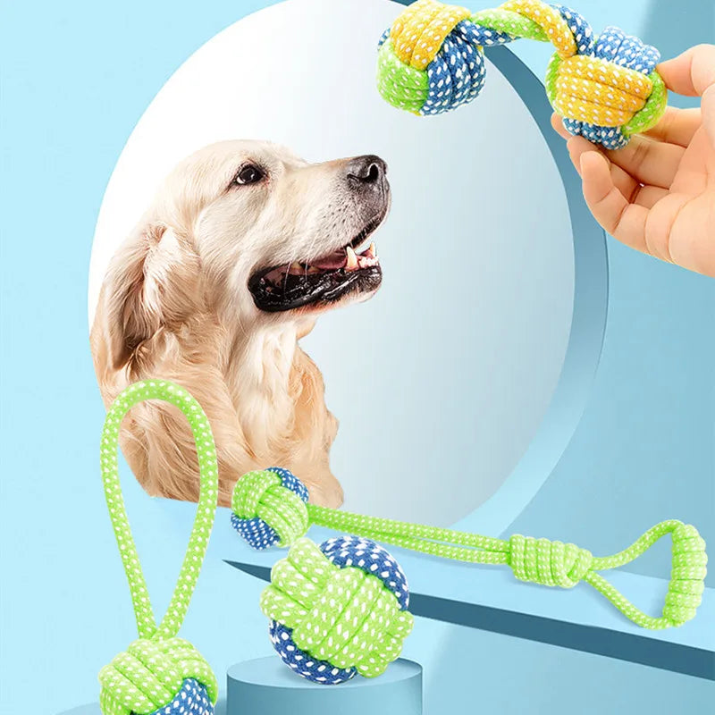 Pet Toothbrush Chew Toy