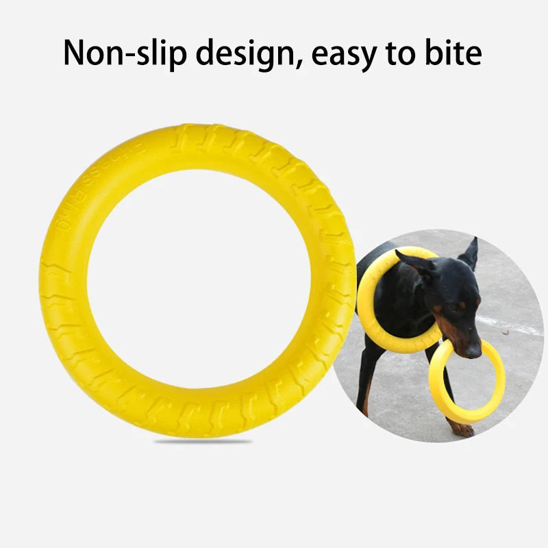 Dog Flying Disk Training Ring